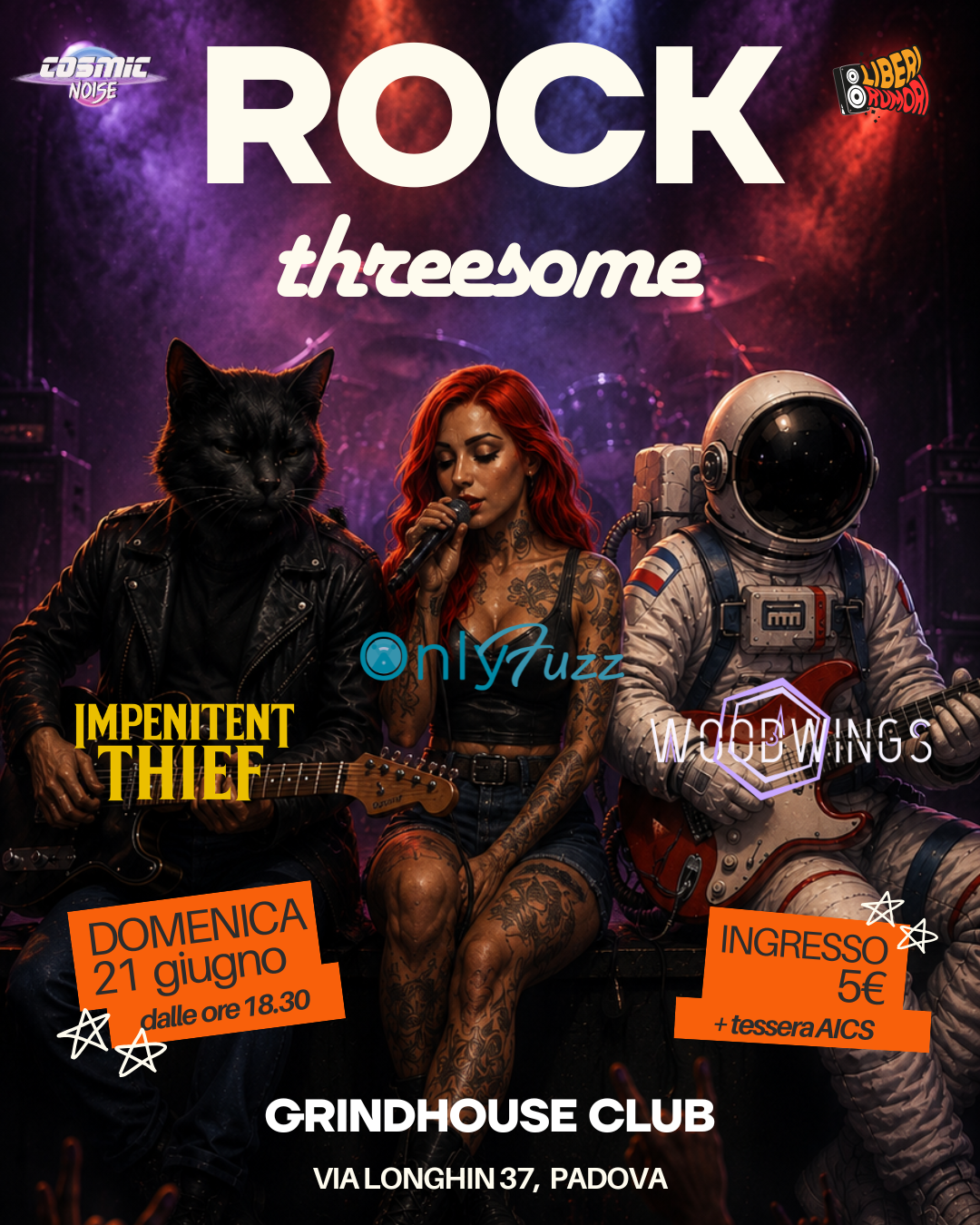Locandina 1 tour Woodwings